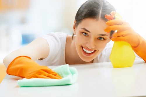 Image showing supplier audit and compliance review in a cleaning business