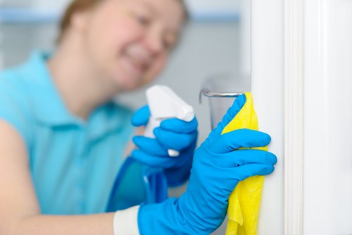Cleaning supplies for stain removal on household fabrics