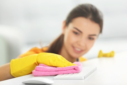 Enzyme cleaning for pet odour in a Newington home