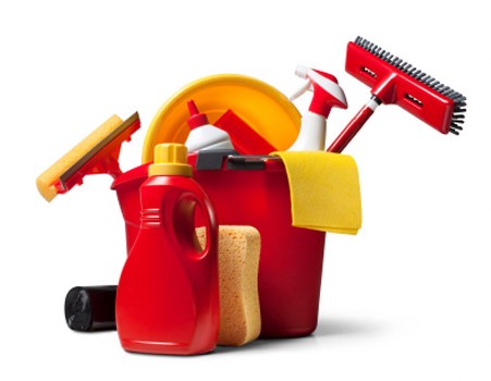Experienced carpet cleaners in Newington assessing carpet condition